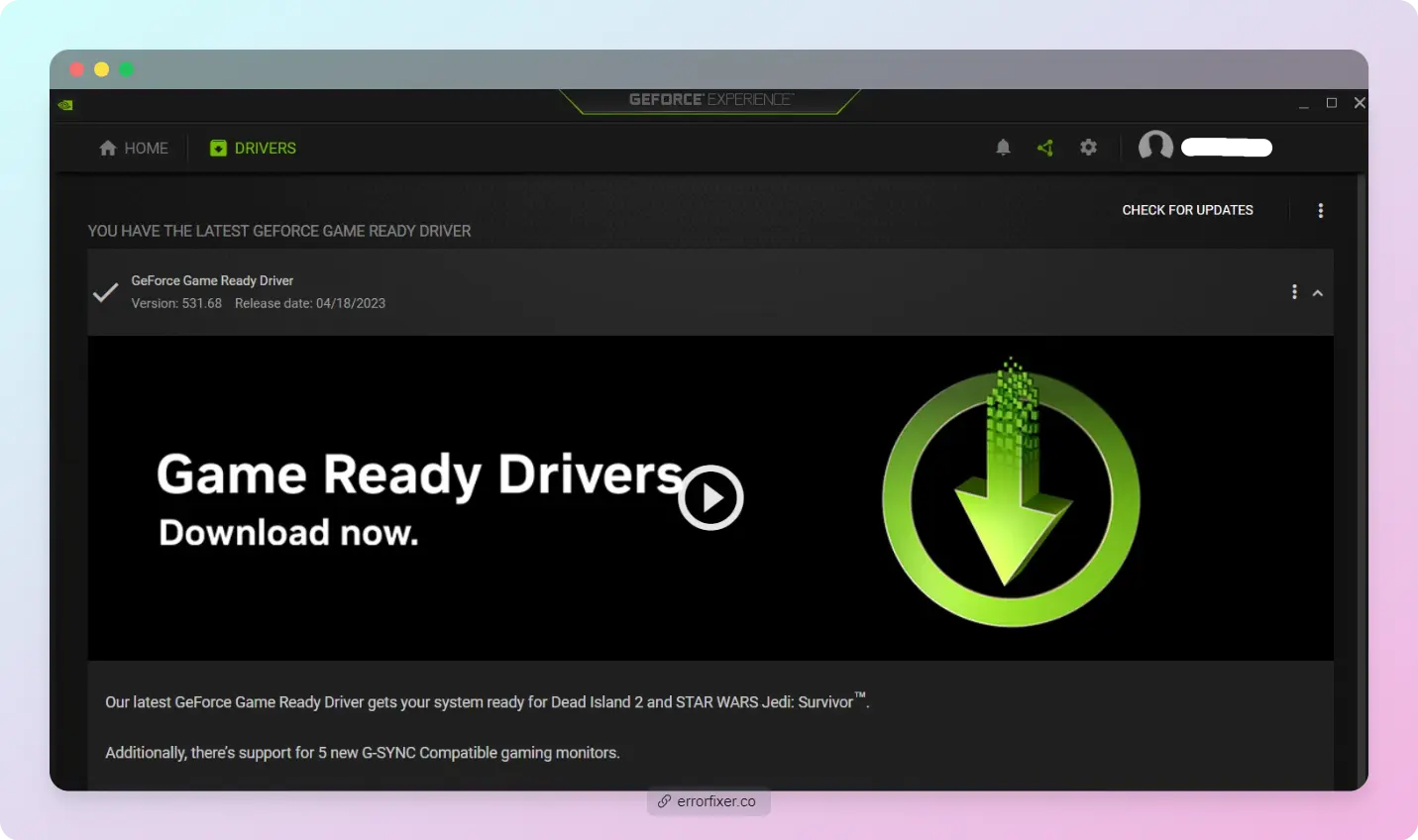 Jedi Survivor Settings